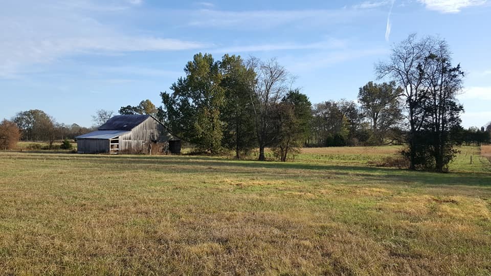 2 Beasley Road Chapel Hill, TN 37034 - Photo 1 of 2 Gallery Image 1