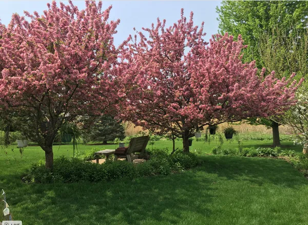 $625,000 | 12937 Grande Poplar Circle, Plainfield, IL 60585