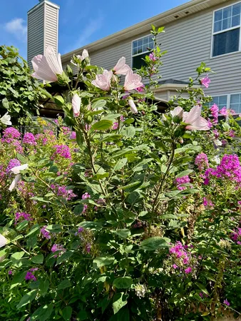 $625,000 | 12937 Grande Poplar Circle, Plainfield, IL 60585