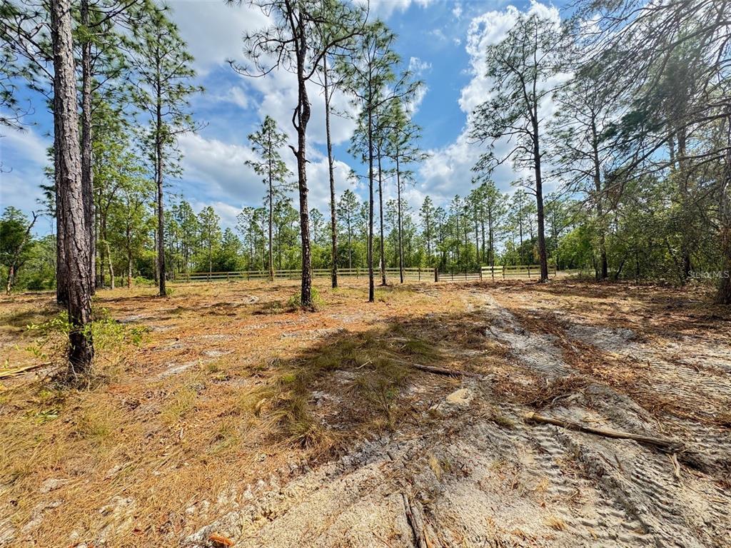 Southwest Edgewater Boulevard Dunnellon, FL 34431 - Photo 9 of 9