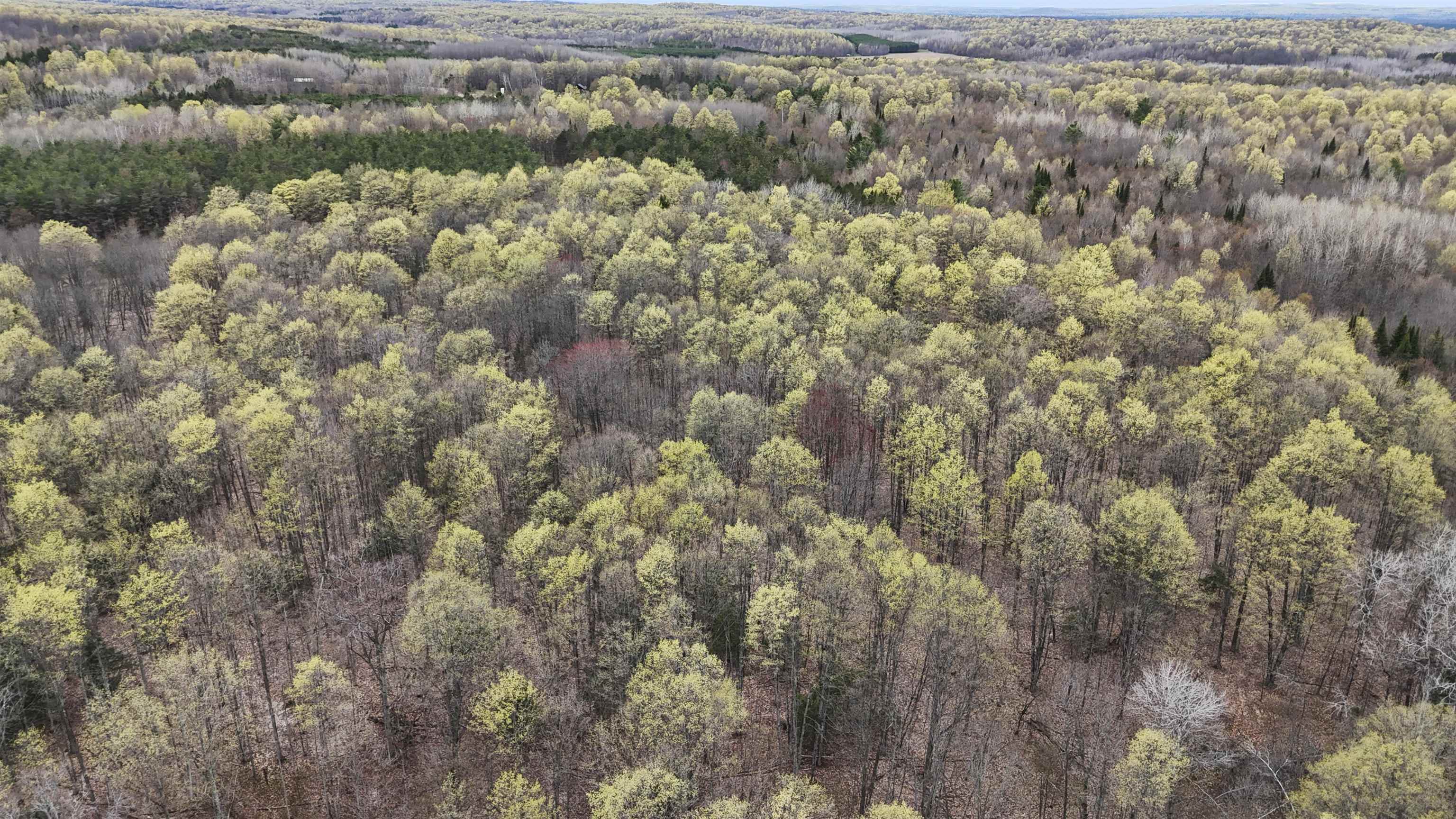 2561 East Johnson Road Lake City, MI 49651 - Photo 56 of 63