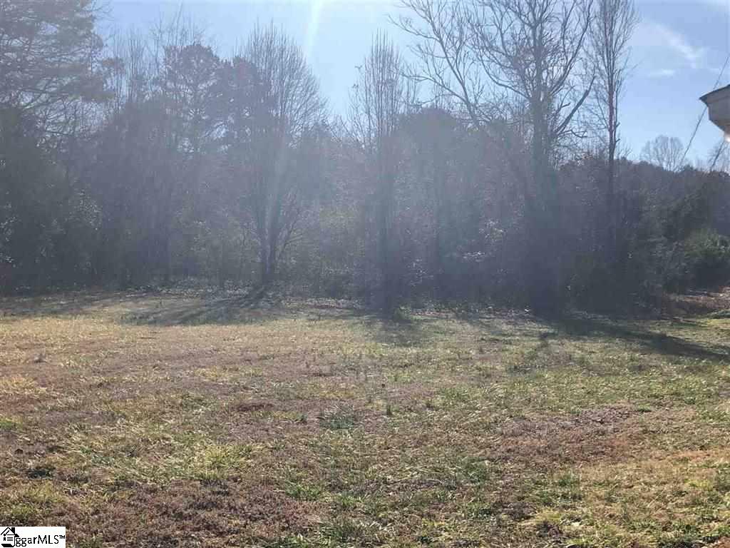 2097 John Dodd Road Wellford, SC 29385 - Photo 3 of 8