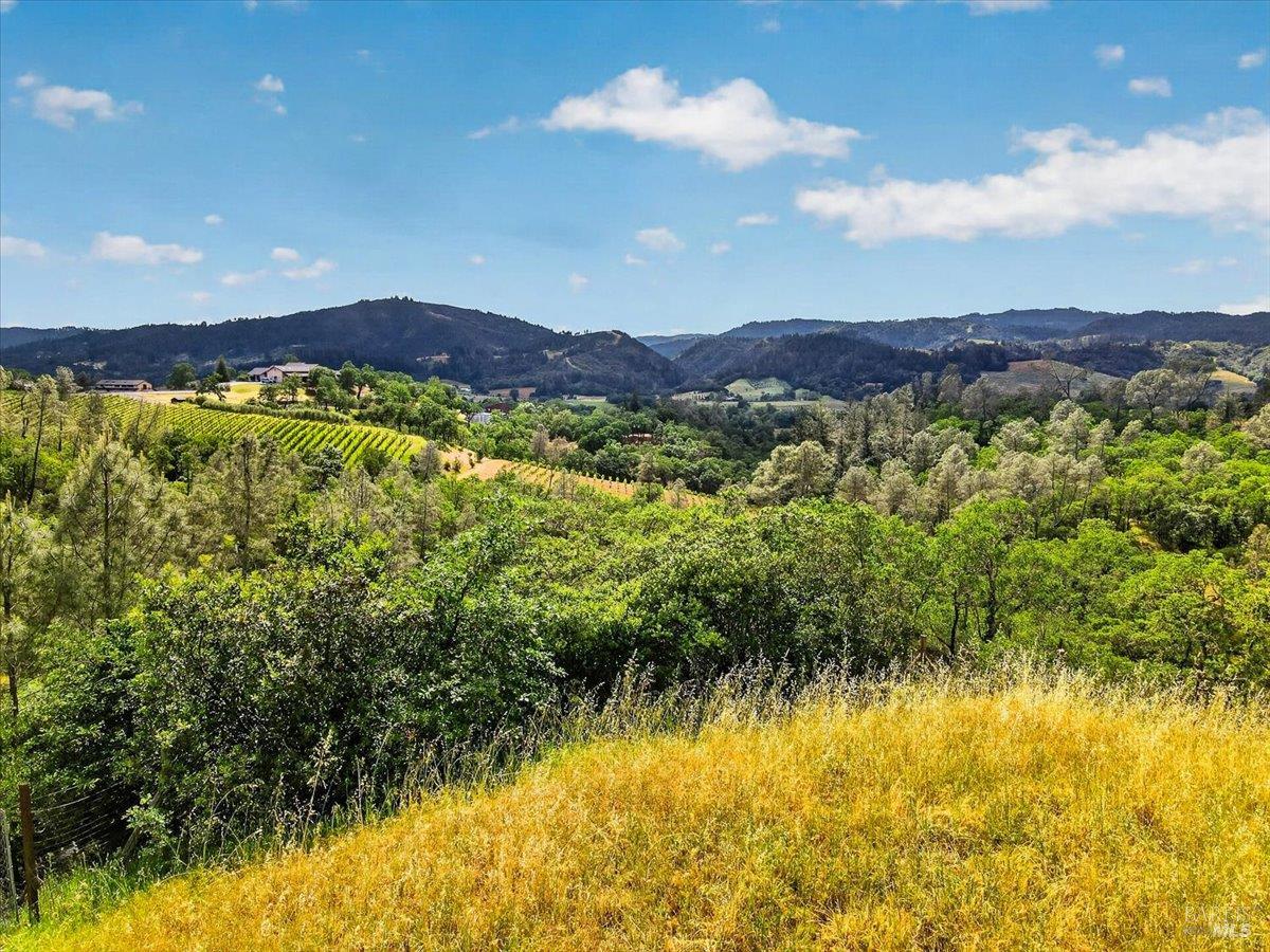 23881 Walling Road Geyserville, CA 95441 - Photo 33 of 40 a view of an ocean from a yard
