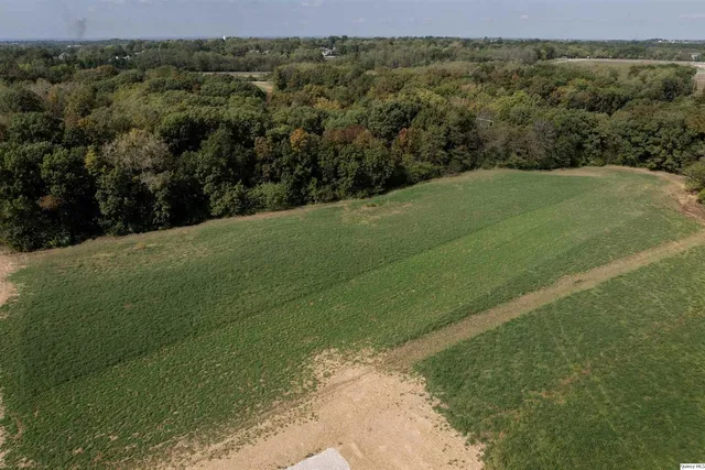 a view of a field with an ocean