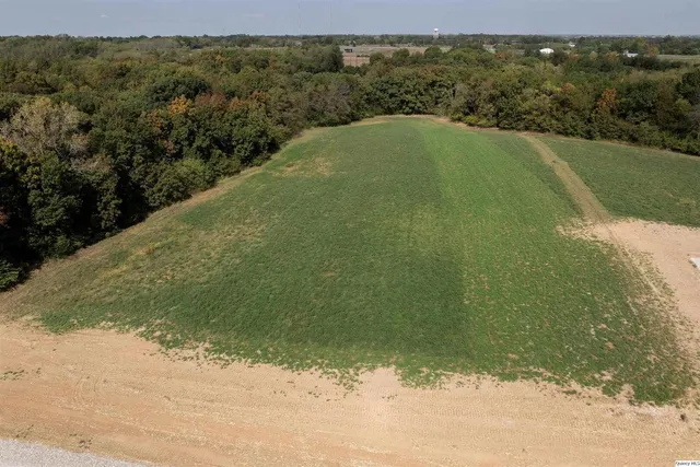 a view of a field with an ocean