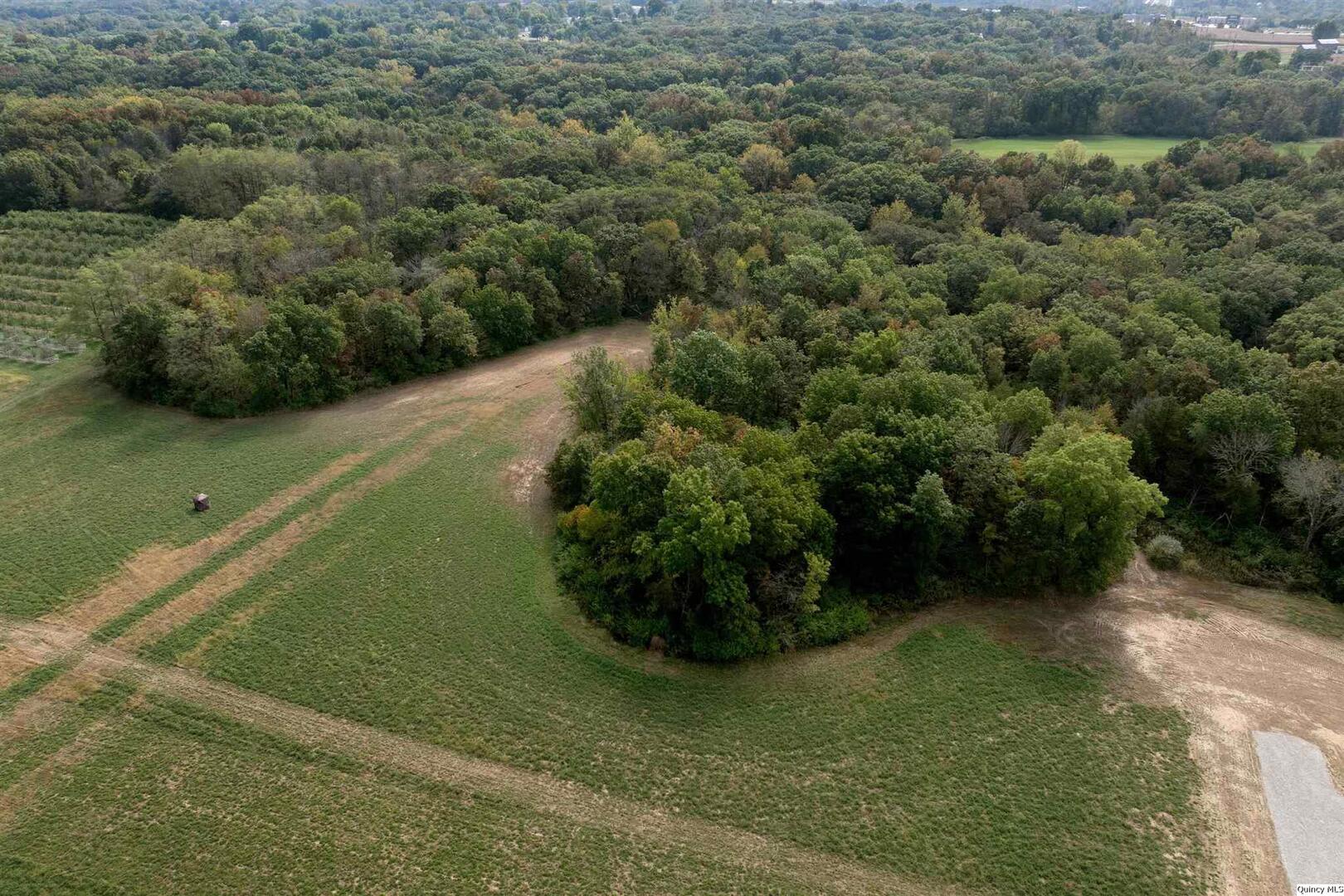 5911 Orchards Edge Lane Quincy, IL 62305 - Photo 5 of 12 a view of a back yard of a house