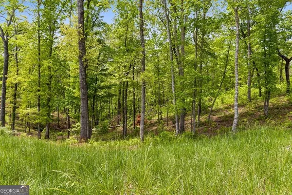$74,000 | Lot 39 Jakes Landing Way, Ellijay, GA 30540