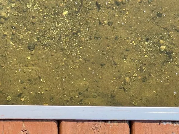 $389,900 | 5701 Head Lake Road, Hastings, MI 49058