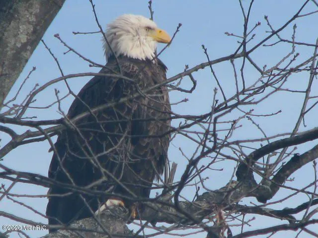 $389,900 | 5701 Head Lake Road, Hastings, MI 49058