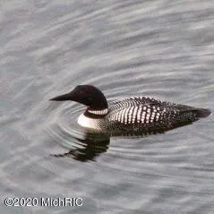 $389,900 | 5701 Head Lake Road, Hastings, MI 49058