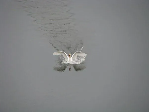 $389,900 | 5701 Head Lake Road, Hastings, MI 49058