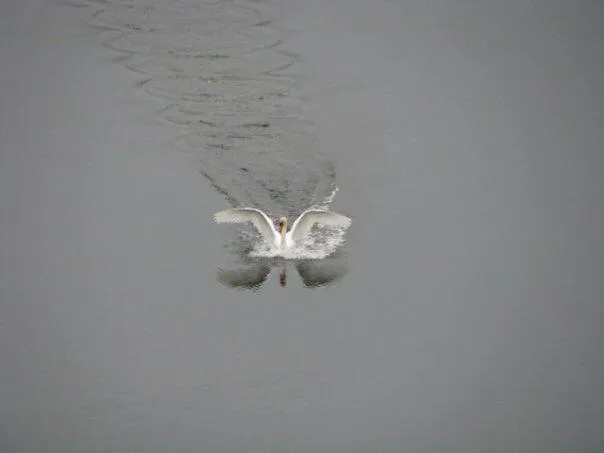 $389,900 | 5701 Head Lake Road, Hastings, MI 49058