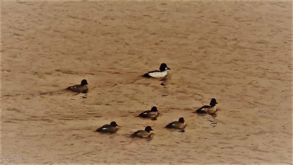 $389,900 | 5701 Head Lake Road, Hastings, MI 49058