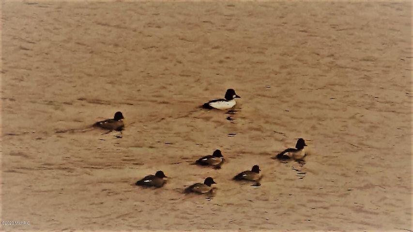 5701 Head Lake Road Hastings, MI 49058 - Photo 70 of 81 20200214011006342677000000-o