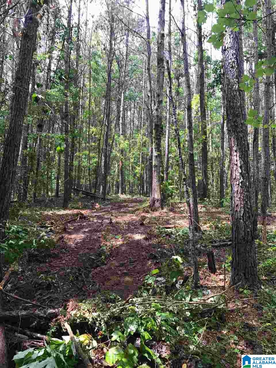 0 Blackjack Road, Unit 22 / ACRES Trussville, AL 35173 - Photo 4 of 7