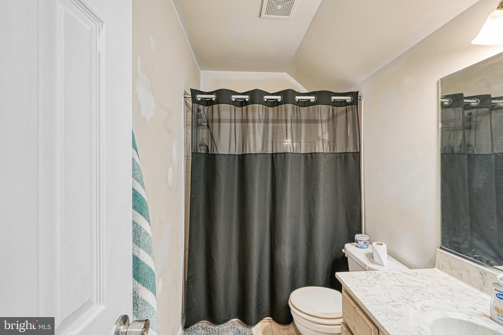441 Hartwood Road Fredericksburg, VA 22406 - Photo 28 of 58 a bathroom with a sink a toilet a mirror and shower curtain
