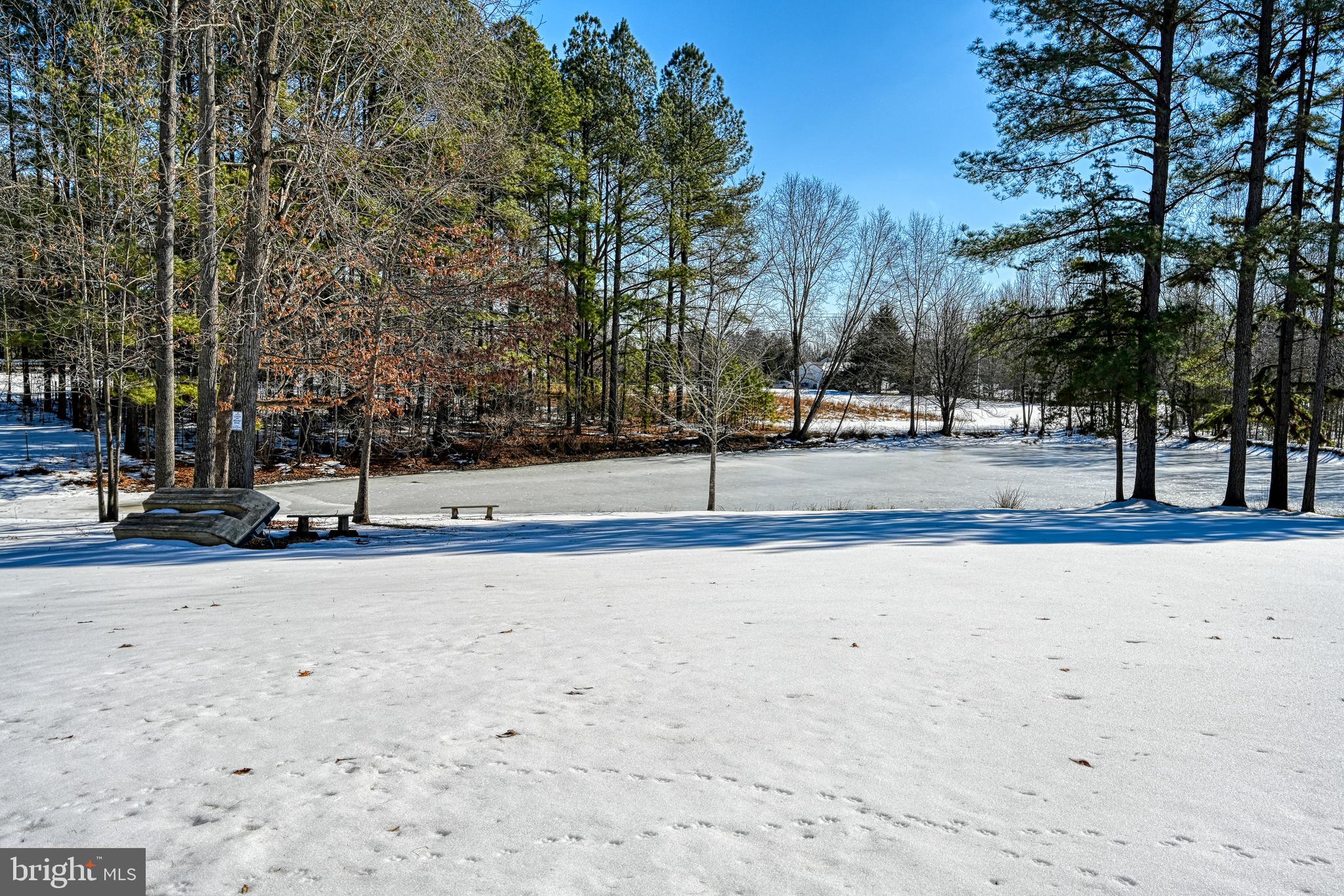 441 Hartwood Road Fredericksburg, VA 22406 - Photo 34 of 58 a view of road with trees