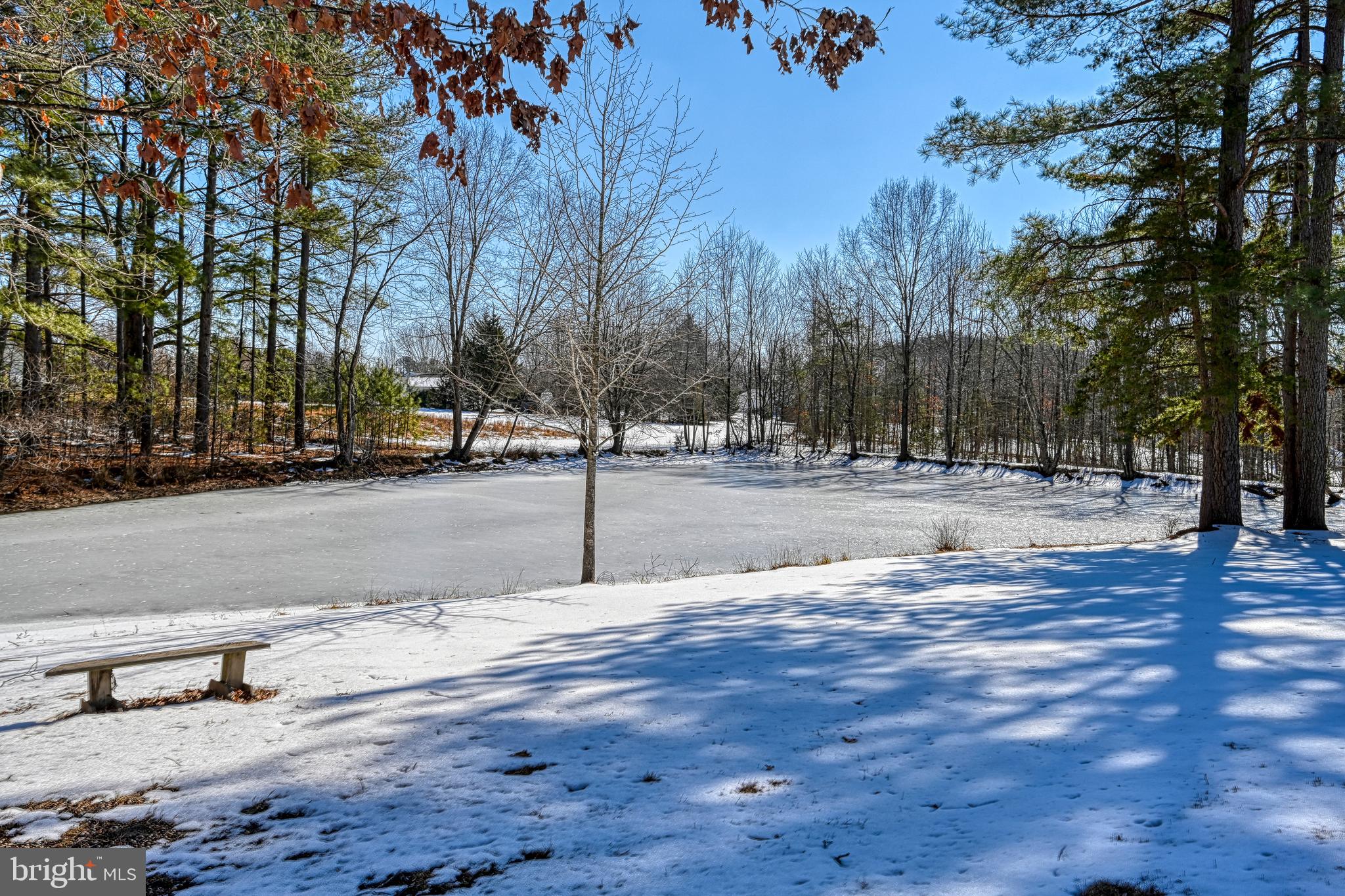 441 Hartwood Road Fredericksburg, VA 22406 - Photo 35 of 58 a view of road with with trees