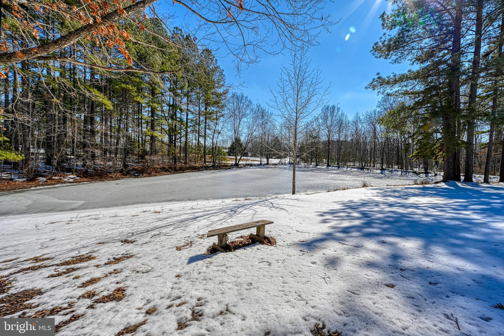 441 Hartwood Road Fredericksburg, VA 22406 - Photo 36 of 58 a view of road with trees