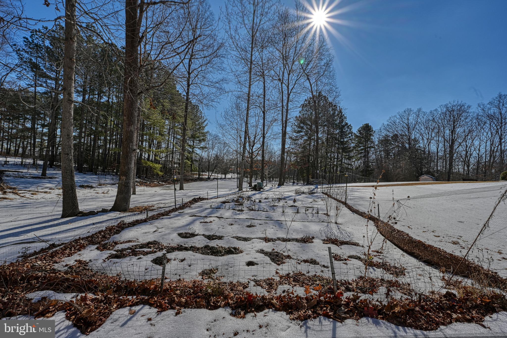 441 Hartwood Road Fredericksburg, VA 22406 - Photo 45 of 58 a view of a yard with a tree