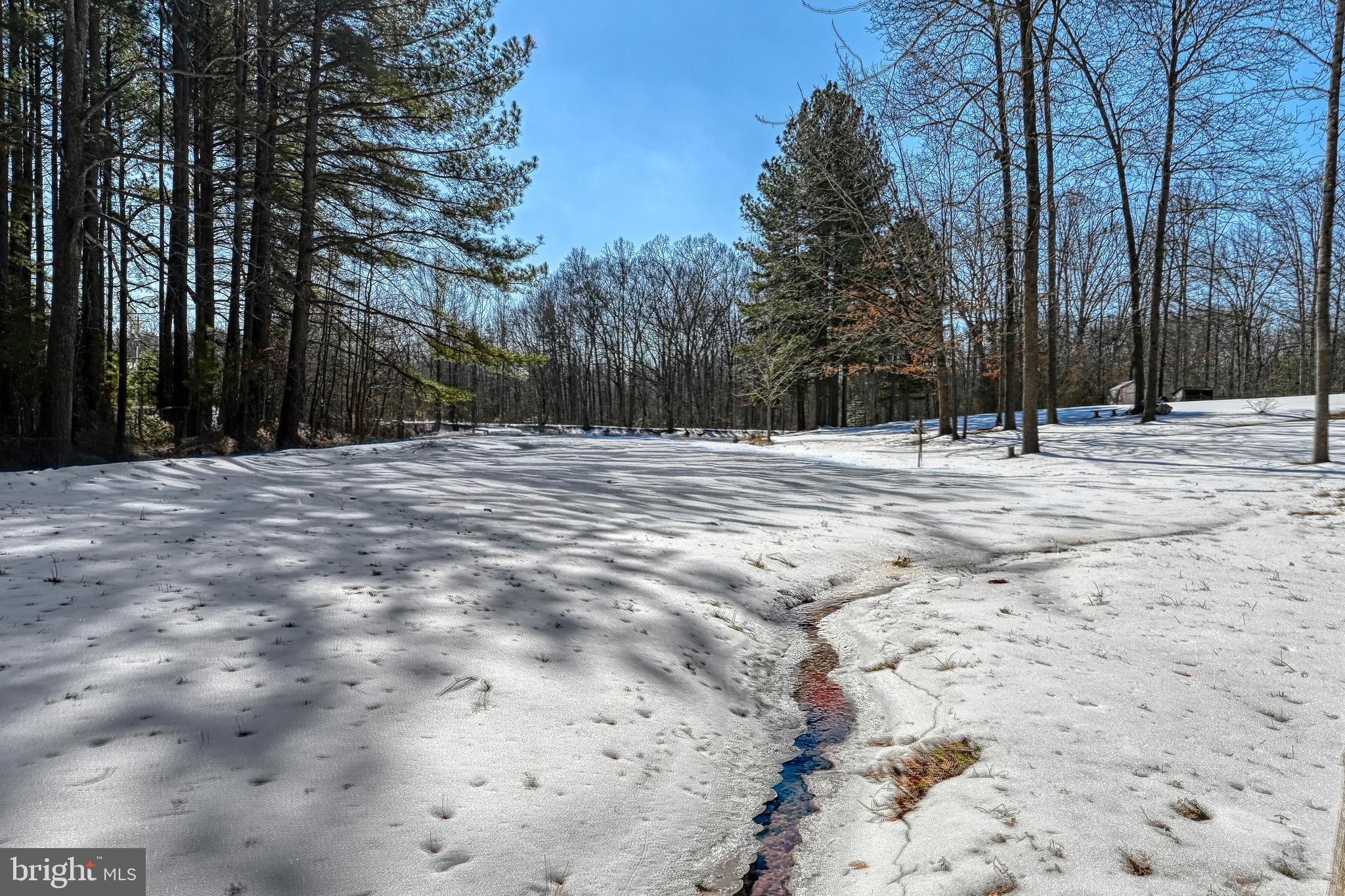 441 Hartwood Road Fredericksburg, VA 22406 - Photo 46 of 58 a view of empty space with trees