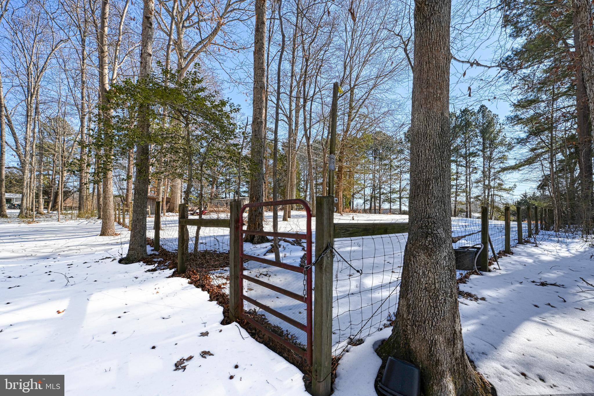 441 Hartwood Road Fredericksburg, VA 22406 - Photo 47 of 58 a view of a backyard of the house