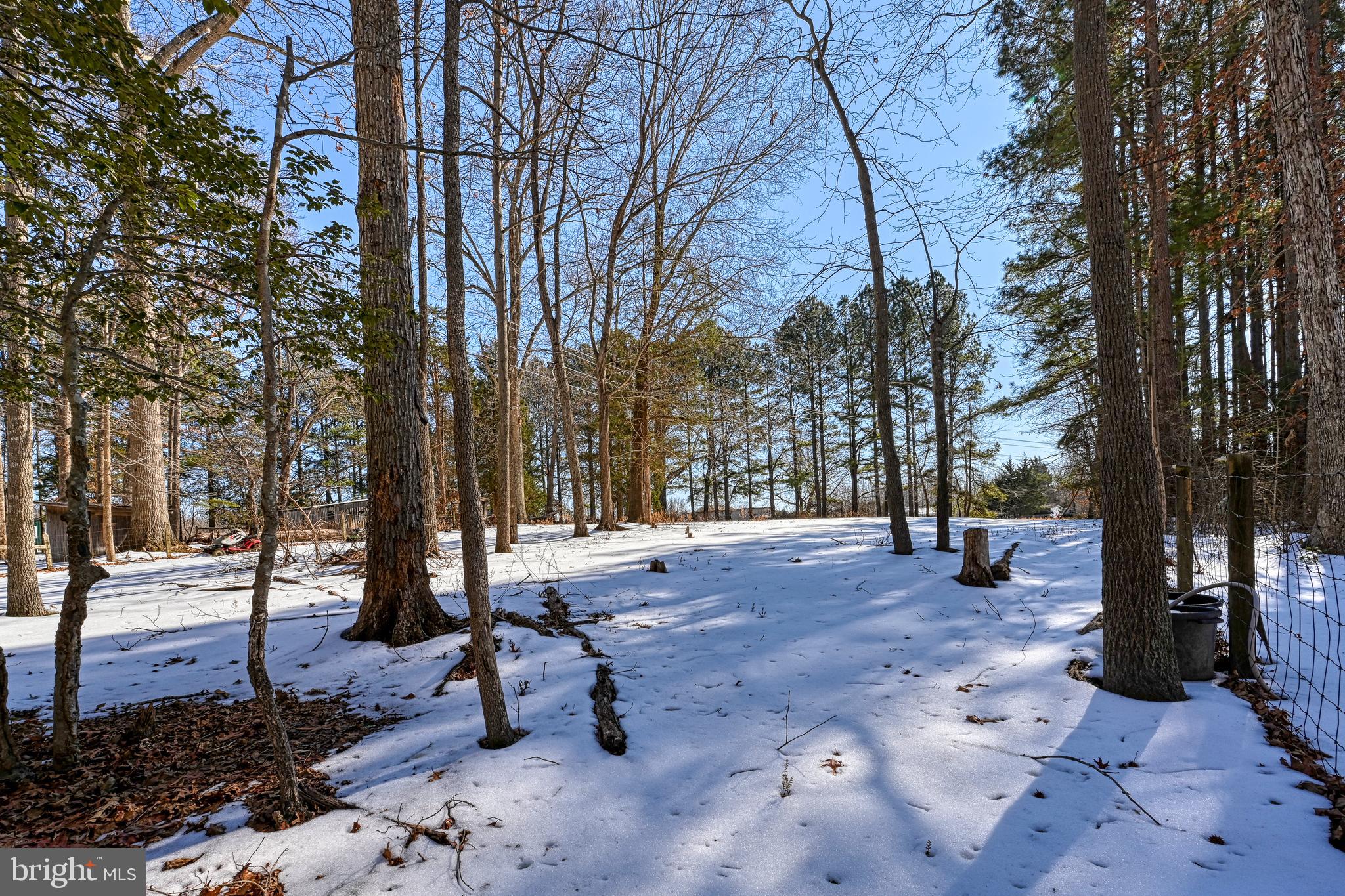 441 Hartwood Road Fredericksburg, VA 22406 - Photo 48 of 58 a view of a yard with a tree