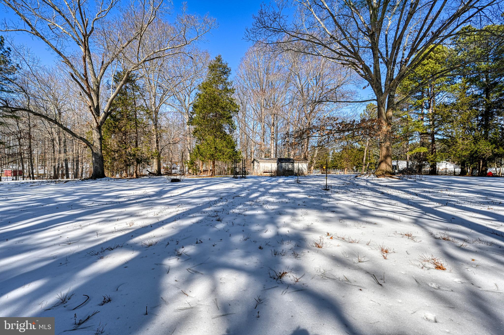 441 Hartwood Road Fredericksburg, VA 22406 - Photo 53 of 58 a view of road with large trees