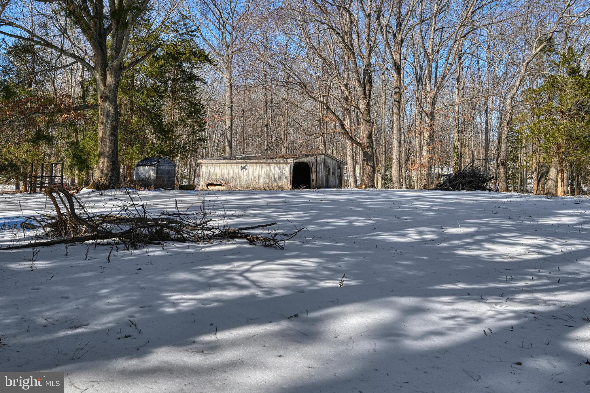 441 Hartwood Road Fredericksburg, VA 22406 - Photo 54 of 58 a view of a yard with trees
