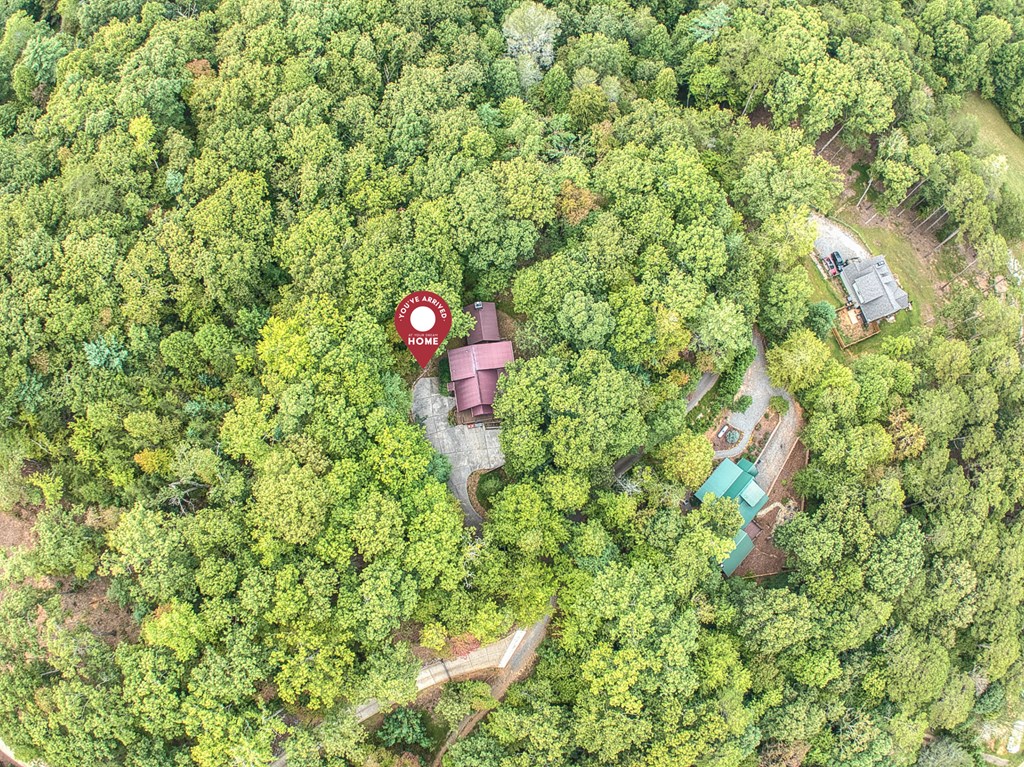 136 Overlook Road Blue Ridge, GA 30513 - Photo 36 of 36 Gallery Image 36