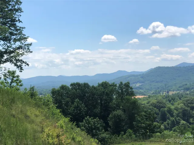 an aerial view of houses covered in trees