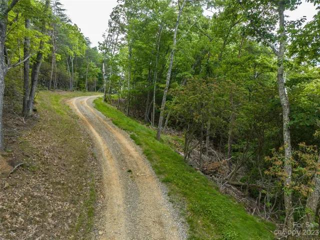a view of a road with a trees