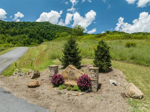 a view of a bunch of flowers in a garden
