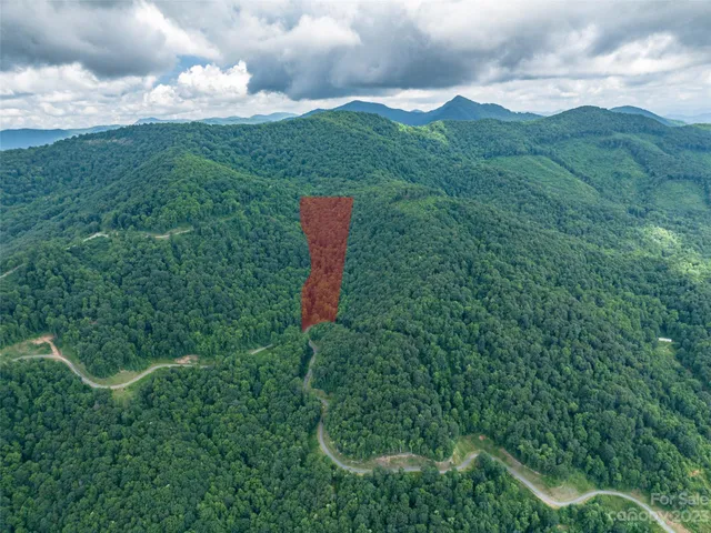 a view of a bunch of trees and bushes