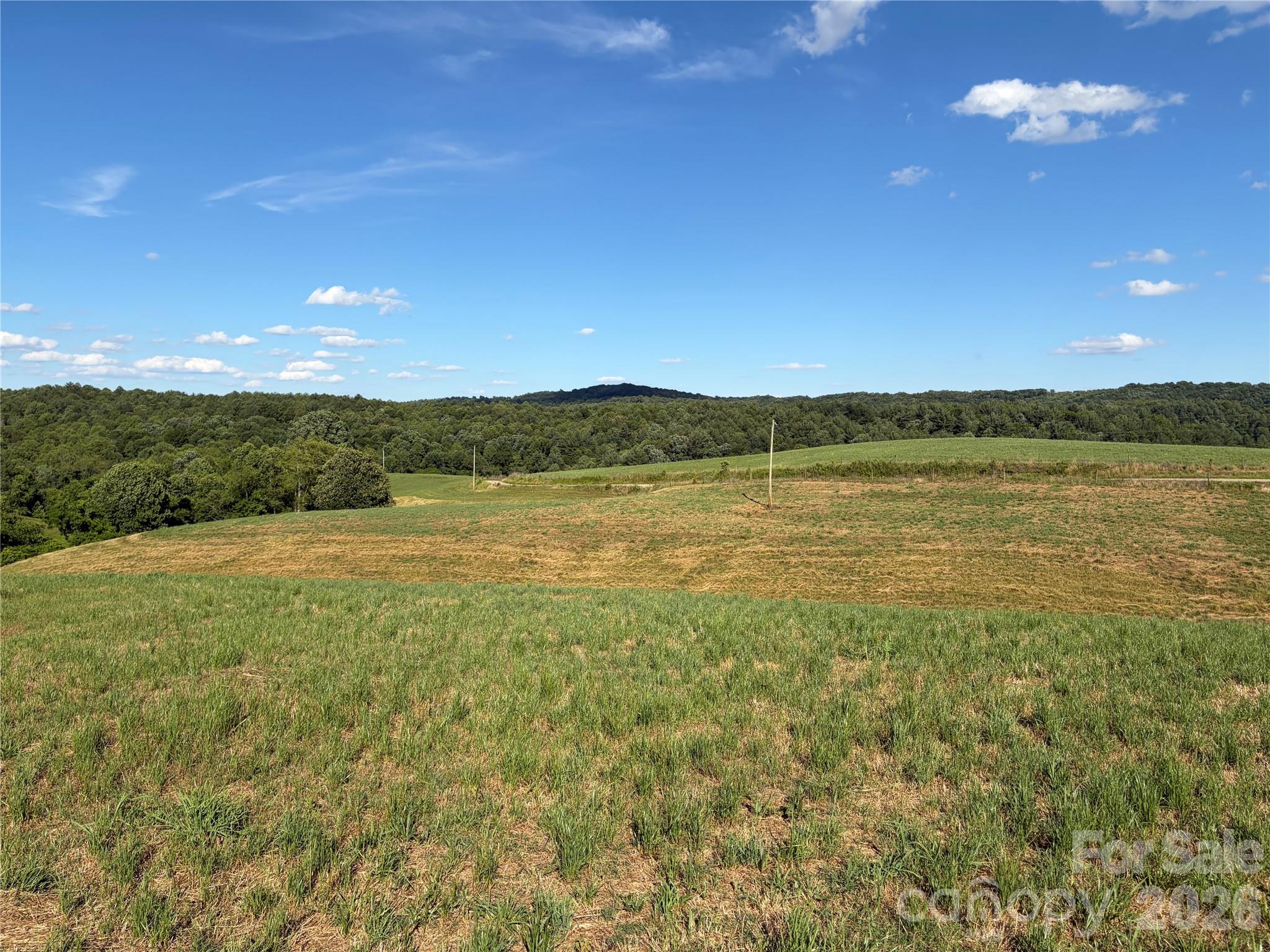 1779 Roundhill Church Road Traphill, NC 28685 - Photo 28 of 41