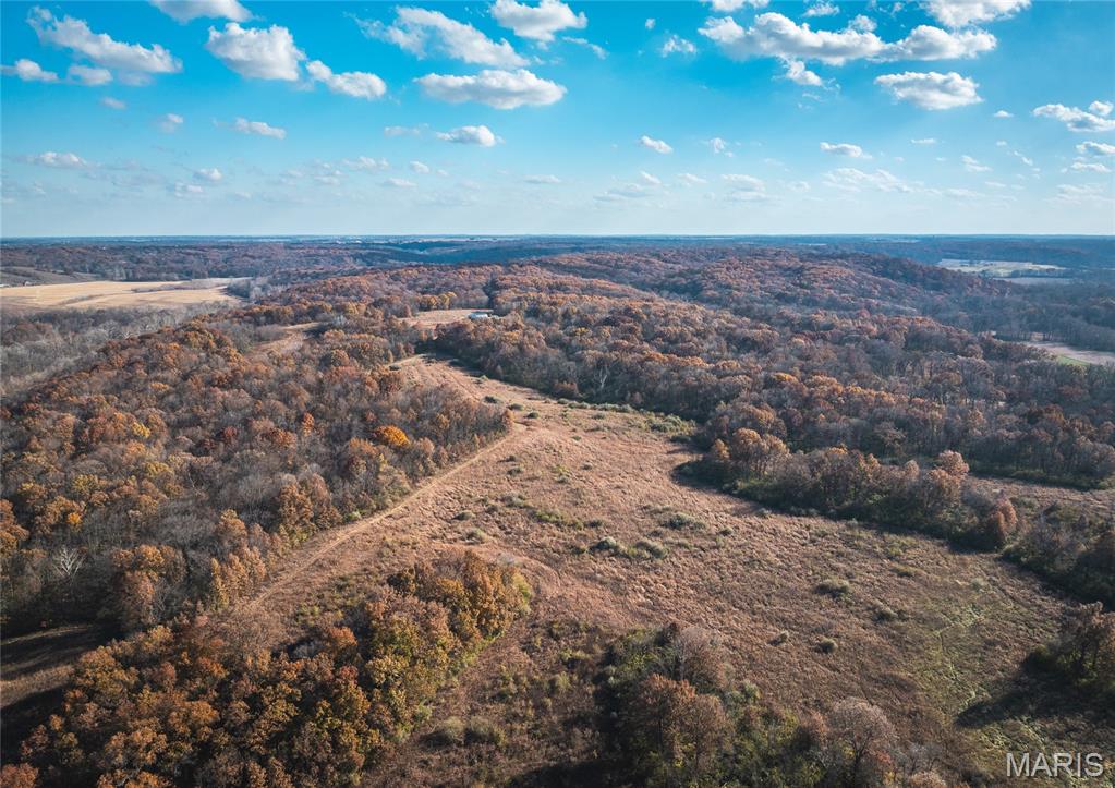 Tbd Southwest Tbd Sw 875th Street Carrollton, IL 62016 - Photo 13 of 45