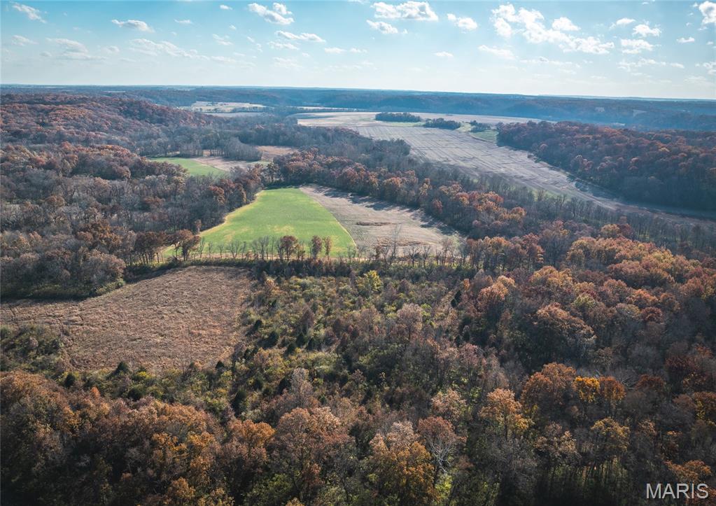 Tbd Southwest Tbd Sw 875th Street Carrollton, IL 62016 - Photo 14 of 45