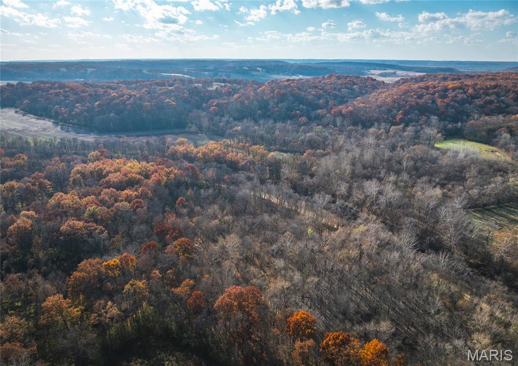 Tbd Southwest Tbd Sw 875th Street Carrollton, IL 62016 - Photo 15 of 45