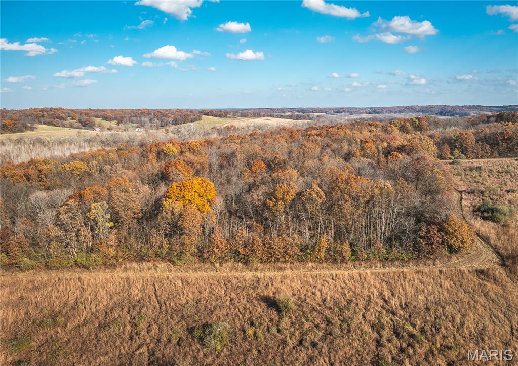 Tbd Southwest Tbd Sw 875th Street Carrollton, IL 62016 - Photo 17 of 45