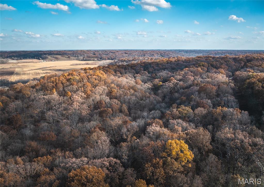 Tbd Southwest Tbd Sw 875th Street Carrollton, IL 62016 - Photo 21 of 45