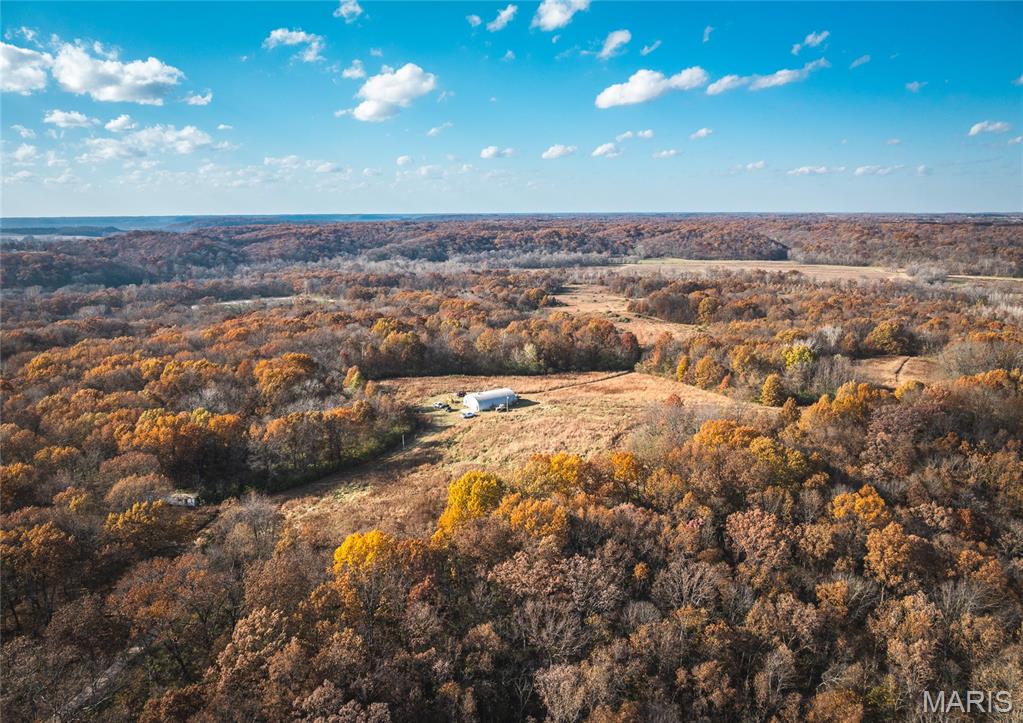 Tbd Southwest Tbd Sw 875th Street Carrollton, IL 62016 - Photo 22 of 45