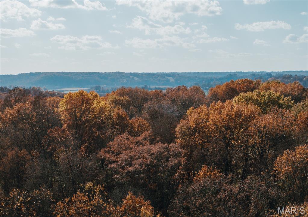 Tbd Southwest Tbd Sw 875th Street Carrollton, IL 62016 - Photo 23 of 45