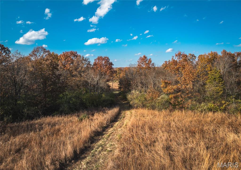 Tbd Southwest Tbd Sw 875th Street Carrollton, IL 62016 - Photo 24 of 45