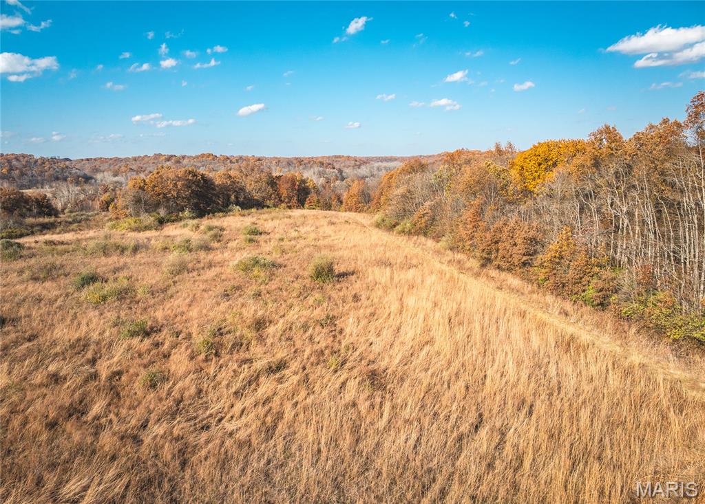 Tbd Southwest Tbd Sw 875th Street Carrollton, IL 62016 - Photo 26 of 45