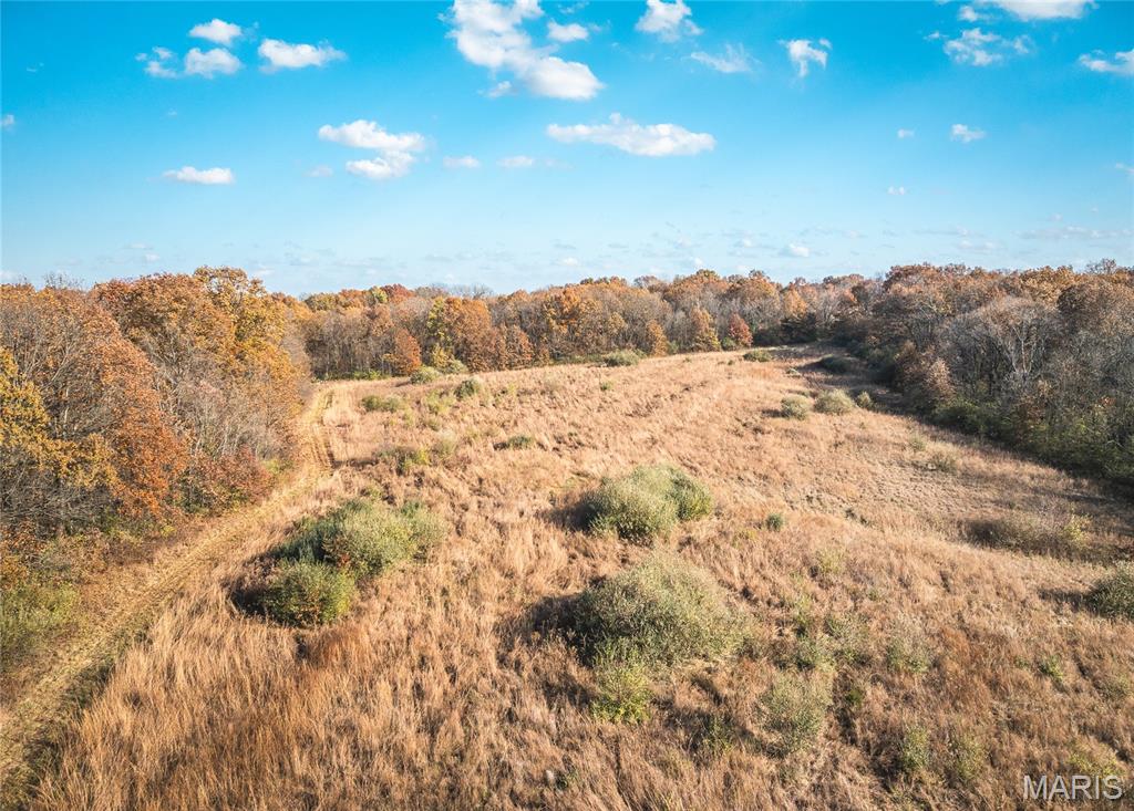 Tbd Southwest Tbd Sw 875th Street Carrollton, IL 62016 - Photo 27 of 45