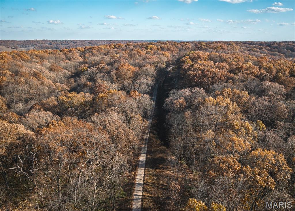 Tbd Southwest Tbd Sw 875th Street Carrollton, IL 62016 - Photo 30 of 45