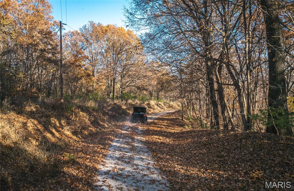 Tbd Southwest Tbd Sw 875th Street Carrollton, IL 62016 - Photo 31 of 45