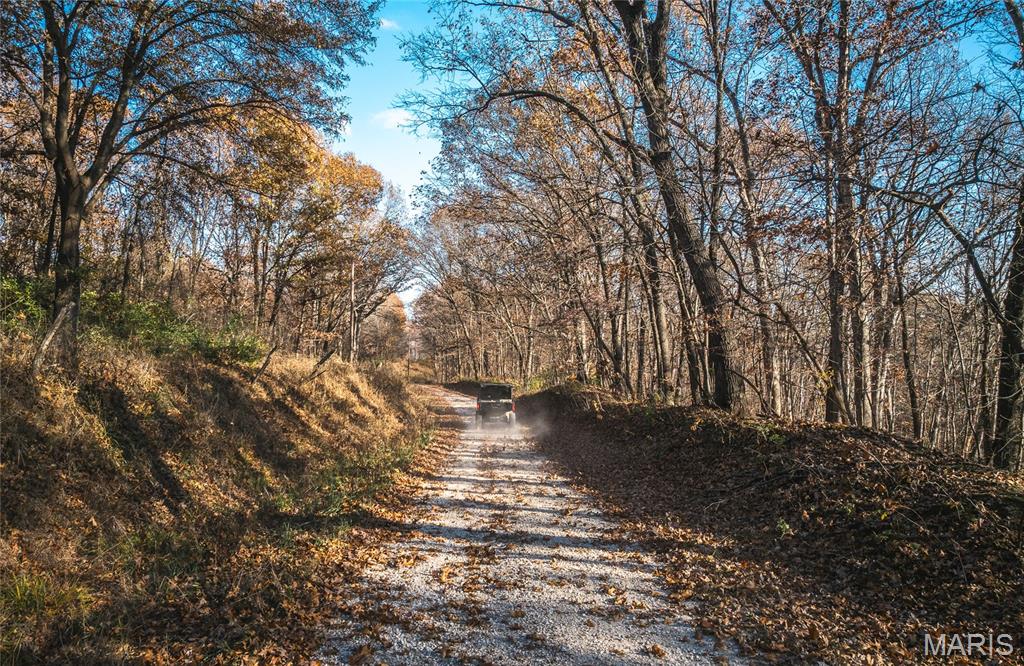 Tbd Southwest Tbd Sw 875th Street Carrollton, IL 62016 - Photo 32 of 45