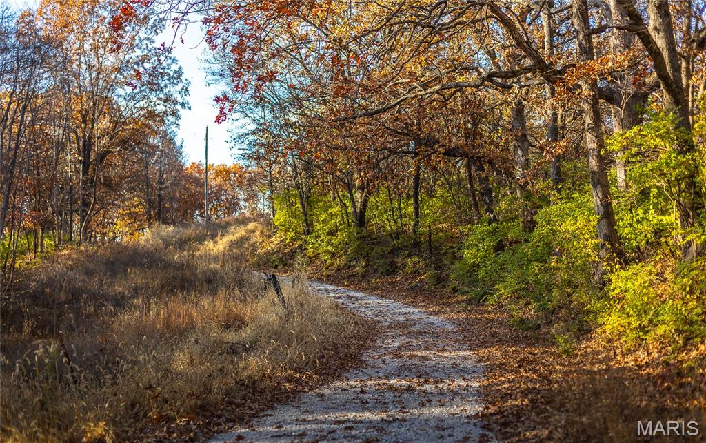 Tbd Southwest Tbd Sw 875th Street Carrollton, IL 62016 - Photo 43 of 45