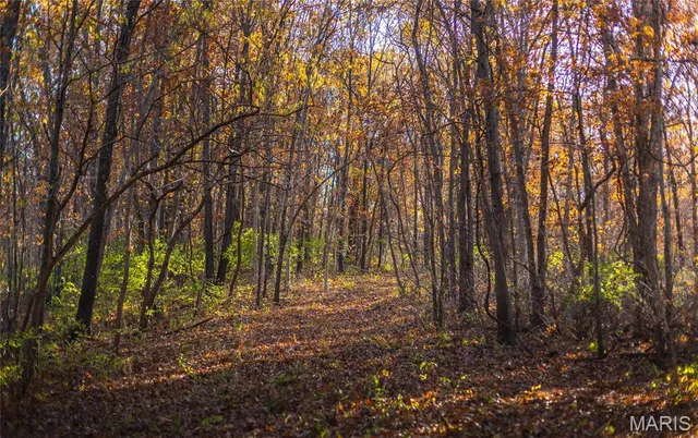 $2,243,150 | Tbd Southwest Tbd Sw 875th Street, Carrollton, IL 62016